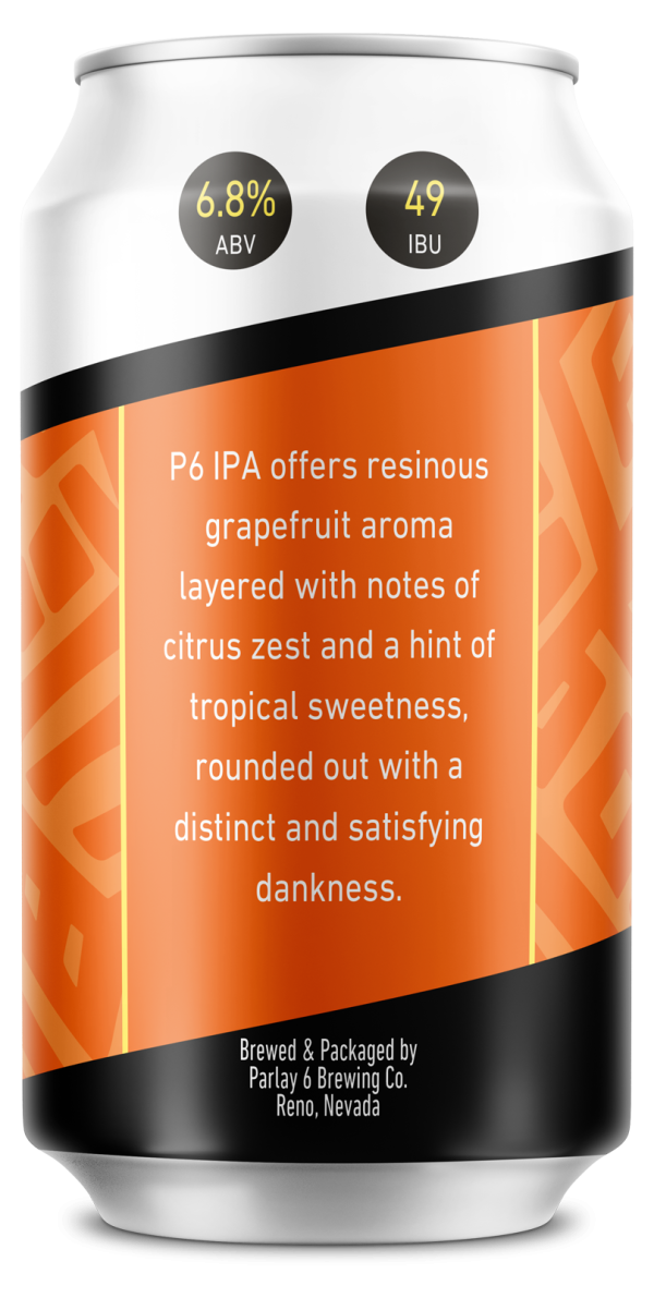 p6 ipa back